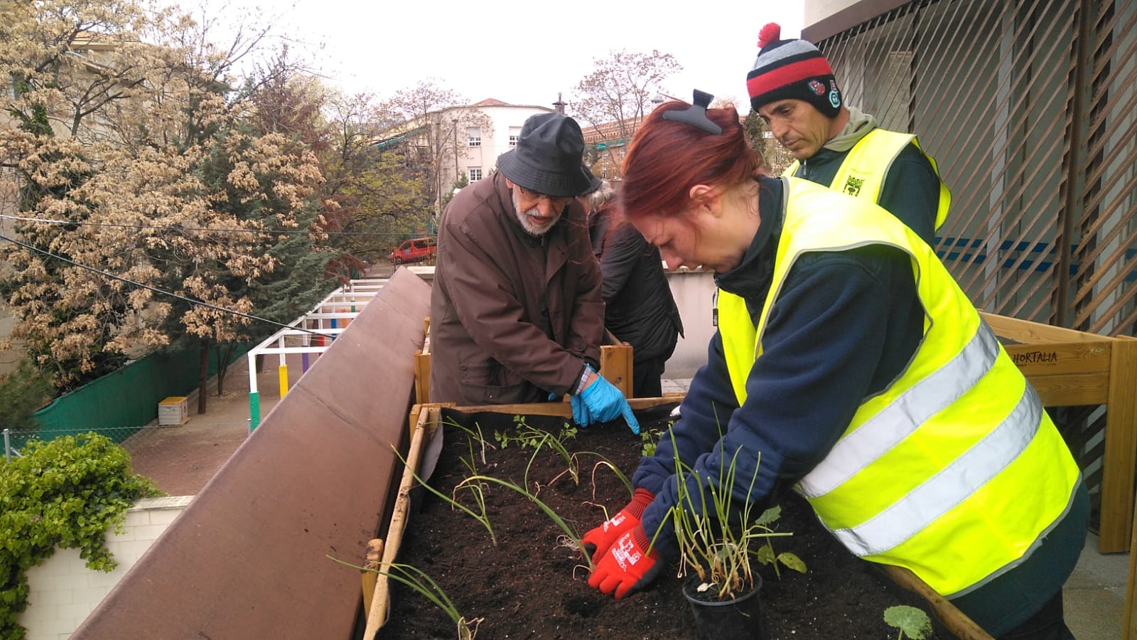 Un nuevo huerto urbano en el Centro de Mayores Pío Baroja